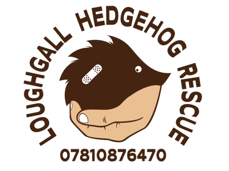 loughall 1 768x576