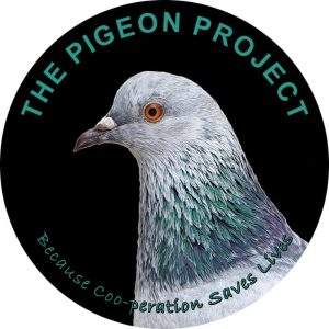 PPLogo-1.jpg