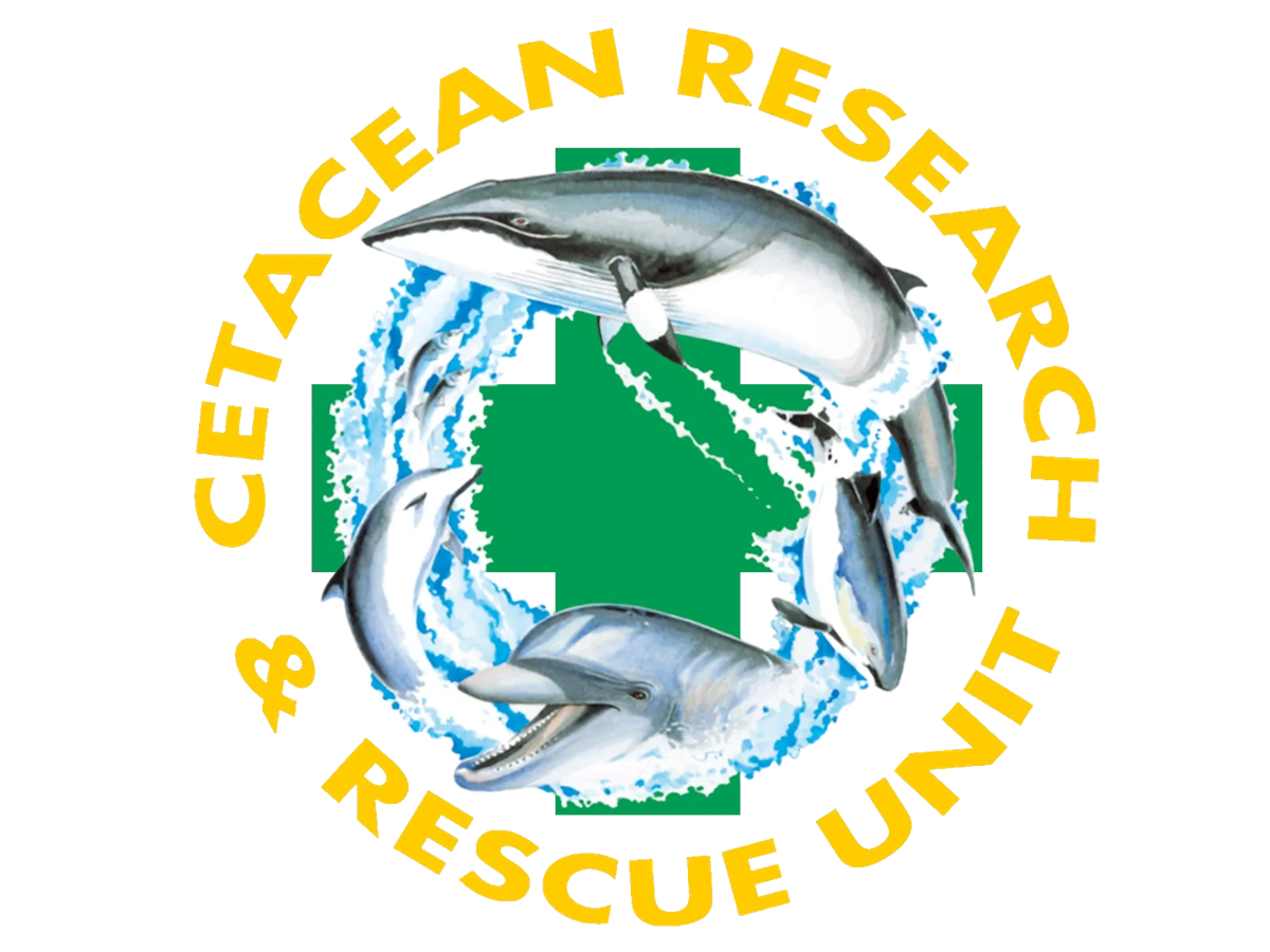0053logo