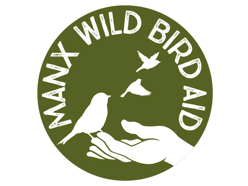 0781logo 1