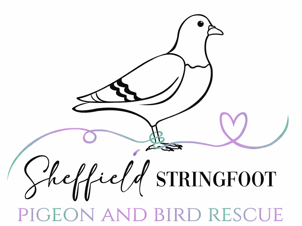 1557logo