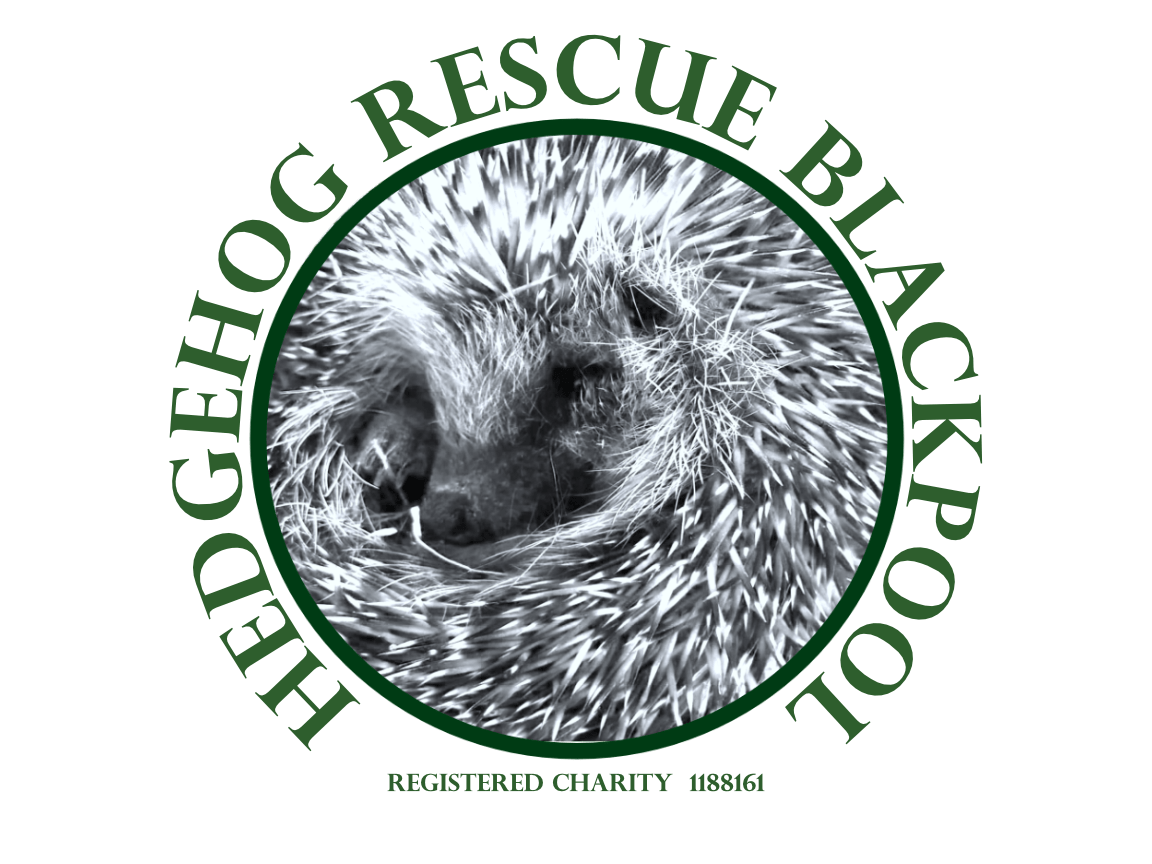 draft HRB logo trans bkgrdb2 BW
