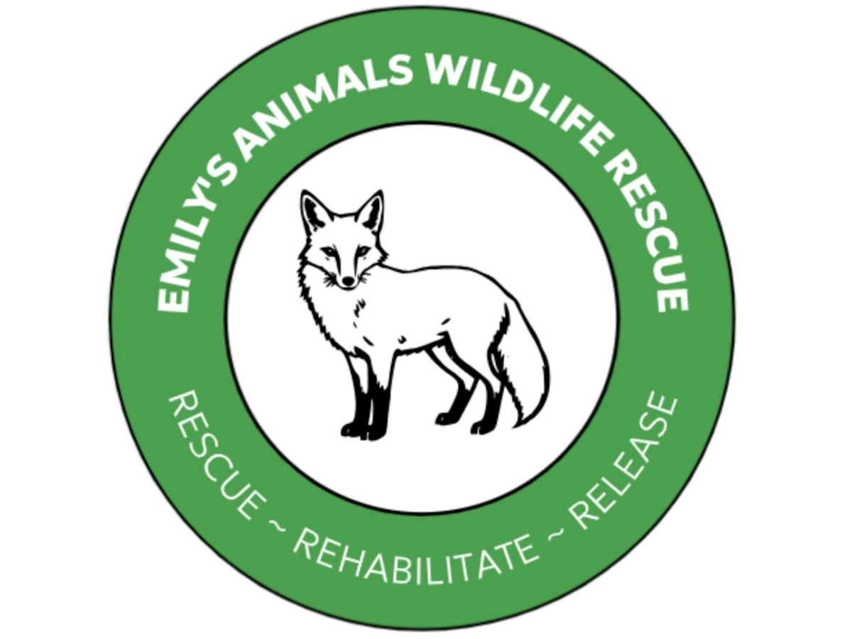 eawr