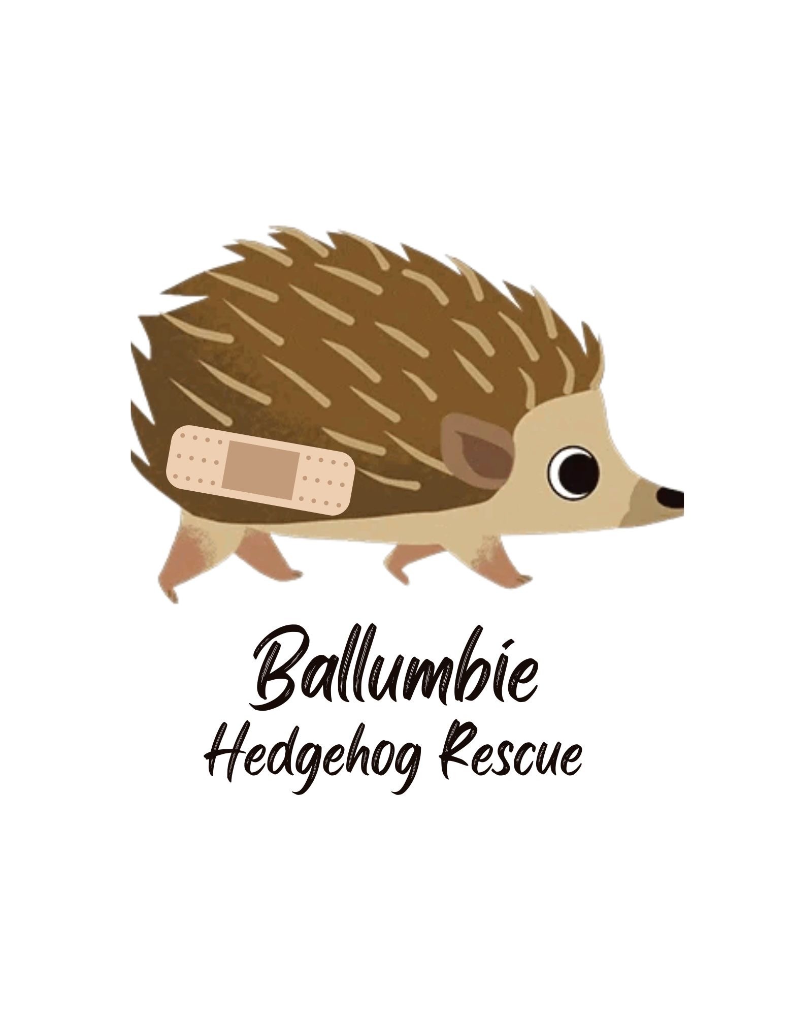 logo low res